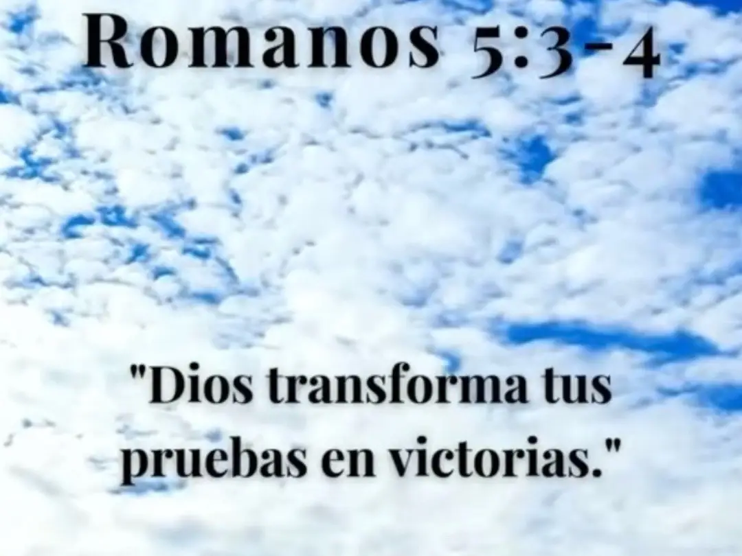 #atodosmisseguidores #lemon8us #atodas #Lemon8 #Reflexiones 