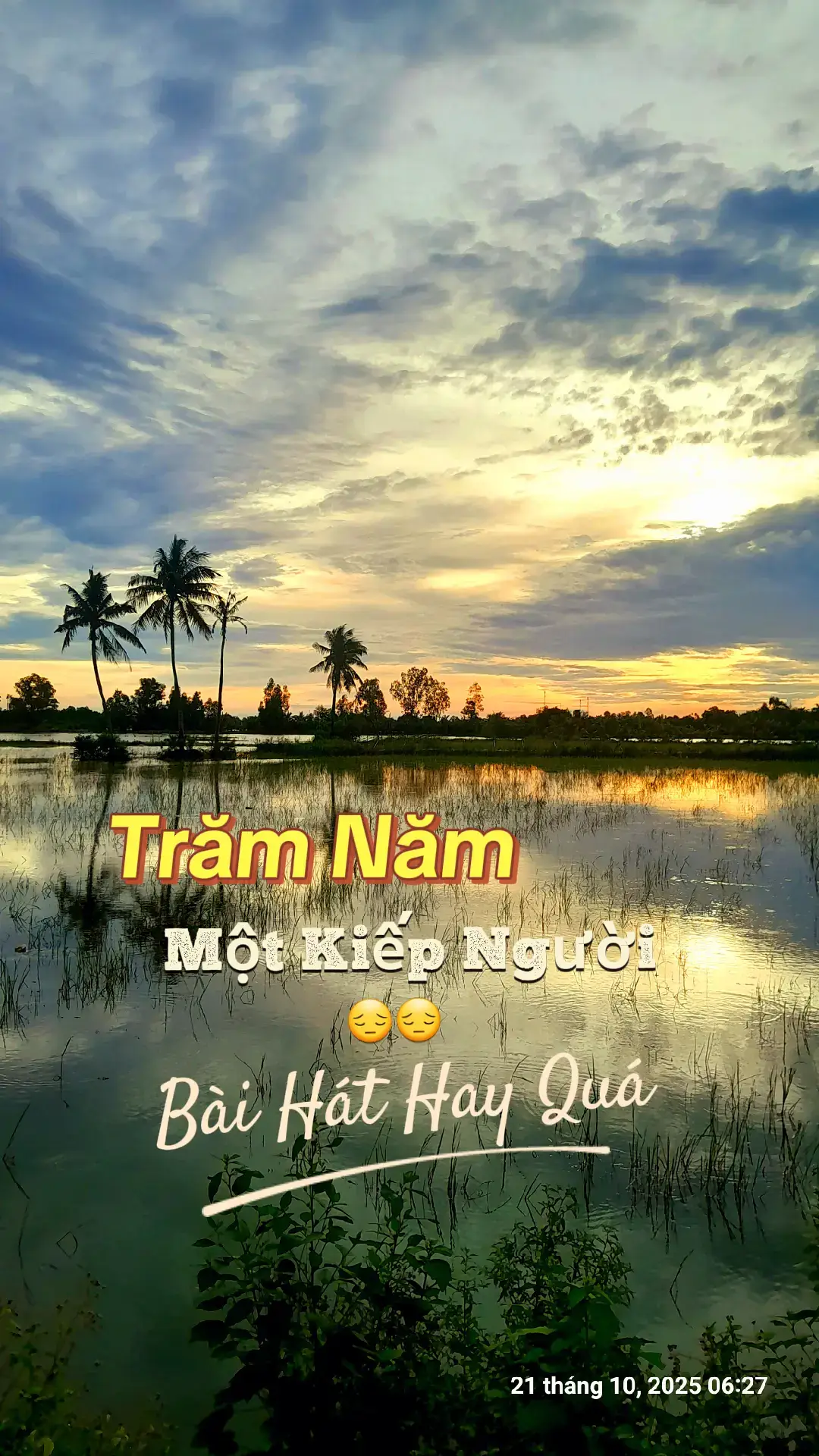 #xuhuong #quehuongmientay #nhachaymoingay #tiktok 