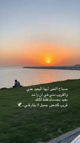 #صباح_الخير #explore #foryou #fypシ゚ #fypage 