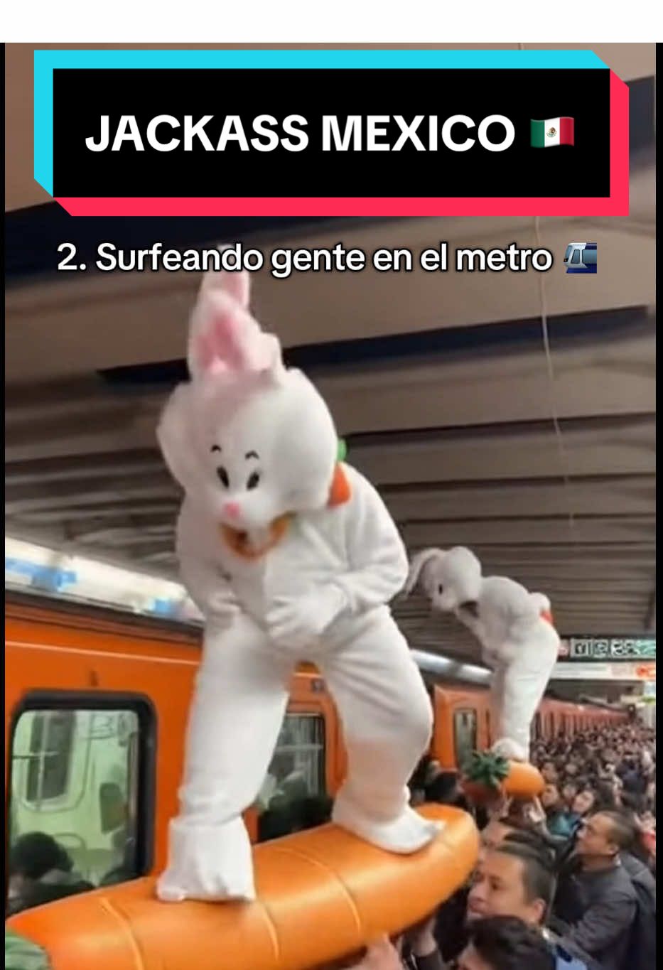 Somos bien tremendos JAJA 😳🗣️🐰✨sígueme para más videos  #vlogs #sora2 #sora #cdmx #retos @profetayaoyao_ 