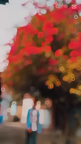 #💀🚩 @Ꮖ ຮʜ ꫝ ɴ 🌀 