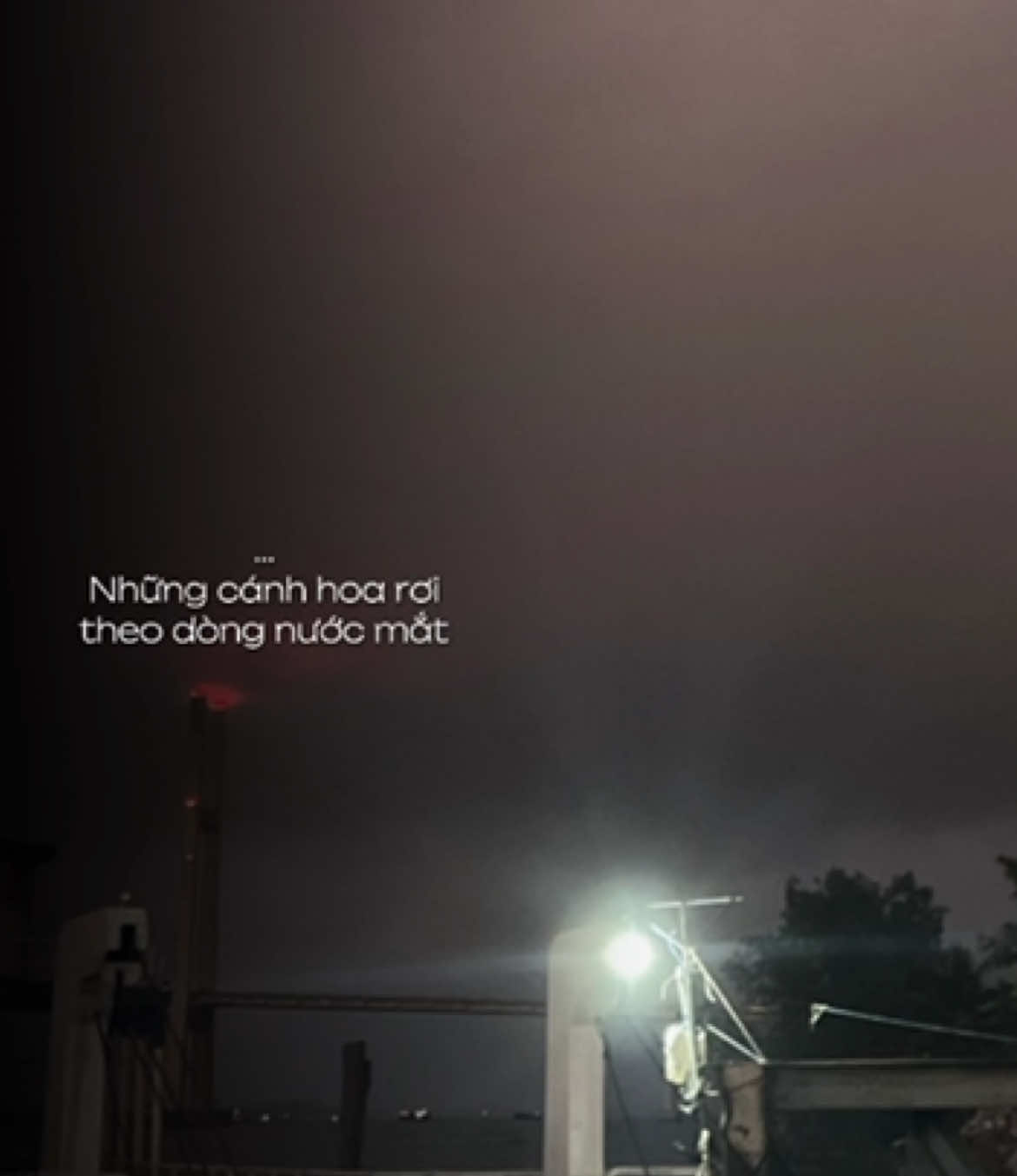 Người cạnh bên mà chẳng thể hiểu được🙂‍↕️#xuhuong #quangdangtran #dianguctrangian 