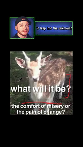 please feel free to share your thoughts & observations! #meme