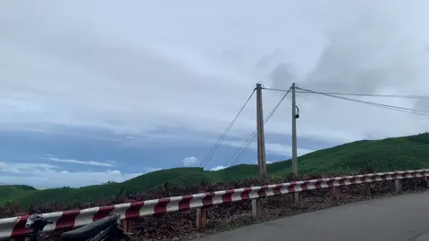 nôn tết que☺️#siriusdangma #tet2026🎆🧨 #si1phuộc😍😍😍😍 #siriusđộkiểng #tiktok 