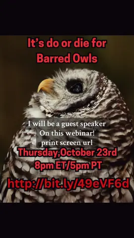 Barred Owls aren't the problem-they might be part of the solution. The underdog is doing more to save Spotted Owls than the agencies trying to 'manage' them. October 23 this throat 8pm ET/5pm PT I will be a guest speaker on a webinar about saving barred owls and how you can help all of this is through Animal Wellness Action! #BarredOwls  #SaveBarredOwls  #SpottedOwls  #SparredOwls  #SaveTheOwls 
