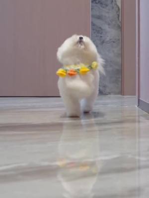 unlock your exclusive mini-app with the project code 922499