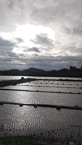 Ruộng muối mùa mưa bão.#xâykenhtiktok #xuhuong #viralvideo 