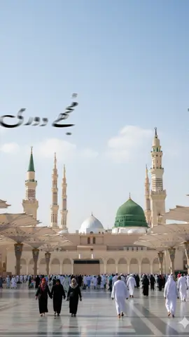 Mujhe Dori Madine ki Boht Bechn Rakhti hai❣️🕋#islamicvideo #fyppp #tiktokgarow #trendiing #1milionviews @TikTok 