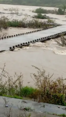 trời mưa gió chắn quá cả nhà....