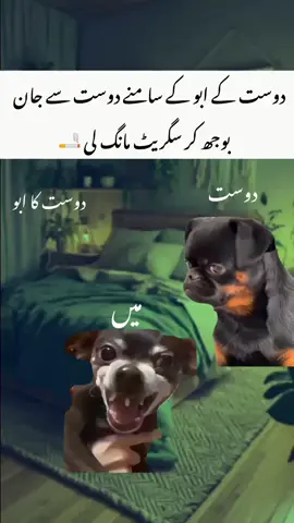 Oh My Yes 😂  . . . #memes_by_haseeb5#viral#memes#fypppppppppppppp 