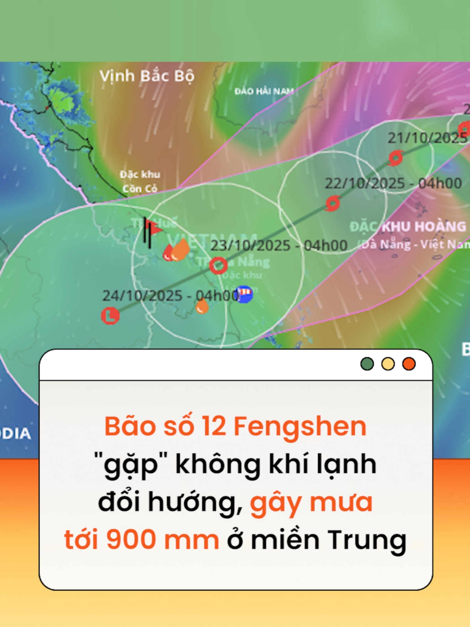 Từ đêm 22-10 đến ngày 26-10, hoàn lưu bão số 12 Fengshen và không khí lạnh gây mưa lớn cho khu vực từ Hà Tĩnh đến Quảng Ngãi, có nơi 900 mm #news #amm  Theo Người lao động