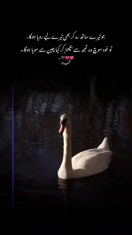 جو تیرے ساتھ رہ کر بھی تیرے لیے رویا ہوگا تو خود سوچ وہ تجھ سے بچھڑ کر چین سے سویا ہوگا  #1milionaudition #aeshetic #foryou #foryoupage #trending 