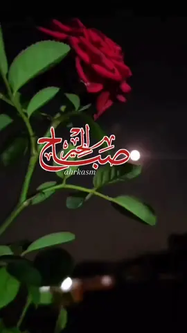 في سكون الفجر، يتحدث الأمل بصوتٍ خافتٍ لكنه صادق: “ما زلت قادرًا على النهوض.”..   حين يتنفس الفجر يخبرني  التفاؤل ان بعد كل ظلام سيطع نور الامل✍🏻🌹🌿#صباحكم_سعاده #صباح_الخير #صباح_الورد #صباح_التفاؤل #صباح_الامل 