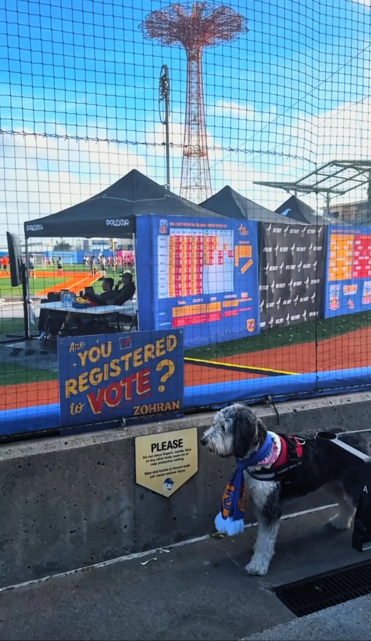 Deadline to register is October 5th beloveds!  See you there ✨🤗 Brought to you by the Cost of Living Classic hosted by the future mayor of New York City (but only if you vote)!  #registertovote #zohranformayor #zohranfornyc #costoflivingclassic #nycfooty   