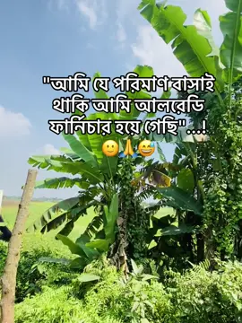 আপনারায় কী থাকেন?? #প্রকৃতির_সৌন্দর্য🥰 #foryou #viraltiktok #foryoupageofficiall #viraltiktok @Omor Always On Fire @TikTok Bangladesh 