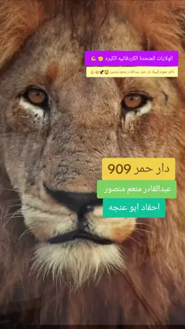 #CapCut #دارحمر_عزي_وفخري909💪❤ #دارحامد_عزي_وفخري💪❤ #كبابيش_العز_جخو_الشقول_ي_اخوانا✊✊ #كردفان_الغرة 