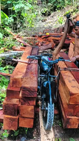 #padahariini #pendorongmanual #papua #lewatberandafyp #fypシ 