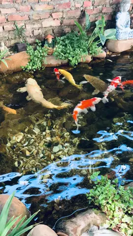 Tôi bây giờ !!! #Áplựctuổi40