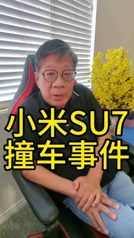 小米SU7撞车事件是整个中国电动车行业全面崩溃的前兆