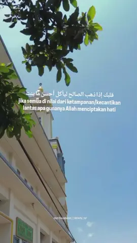 #arabicsong #islamicreminder #arabic #fyp 