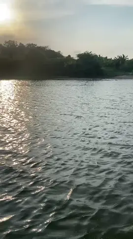 sing ati2 bolo nek mancing onok Gorgon  lokasi Danten  #infospotmancing  #mancingliar 