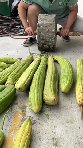 Loofah, a green and environmentally friendly plant fiber#loofah #ecotok #plasticfreehacks 