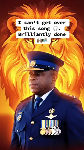 What do you think of this song Ladies and Gents? General Mkhwanazi 👮🏾‍♂️ #generalmkhwanazi #song #hero #southafrica #madlangacommission 