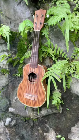 Ukulele #ukulelecover #ukulele #ukulelecover ##guitar 