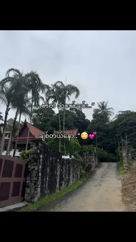 သိလားး😒#fouryoupage #fouryou #fpy_tiktok #fpyyyyyyyyy #fyppppppppppppppppppppppp 