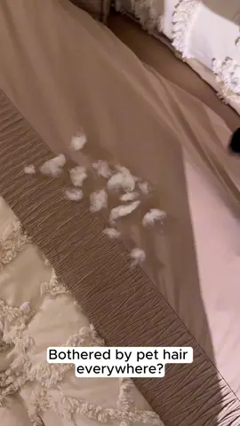 Gentle enough for daily use, effective for stubborn fur. The perfect balance. 🌓 #Halloween #merrychristmas #catsoftiktok #lesurepet #dog #dogsoftiktok #lesure #TikTokRestock #TikTokShopFallDealsForYou