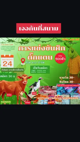 เจอกันที่สนามบ้านลางา ปาลัส อ.มายอ #ลาแลจือแระ🦗🤣 #ตามกระแส 