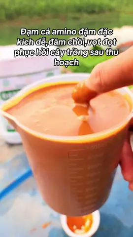 Đạm cá amino #TikTokAwardsVN #trongsaurieng #repsapsaurieng #rayxanhsaurieng #sellertiktokshop 