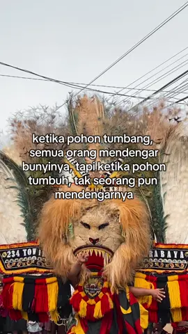 #storyreog #boloreog #fyp 