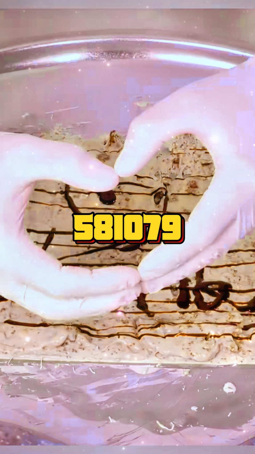 #novel #reddit #foryou #tiktok #novelshort 