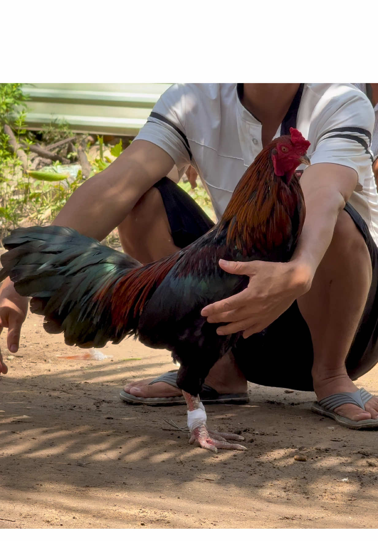 Ai hóng kết quả hông 😉 #xuhuong 