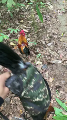 này thì phá đám😂#xuhuong #viraltiktok #tiktok 