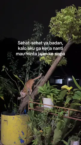 🫂 #fypage #xyzbca #fypシ゚ #tiktokviral 