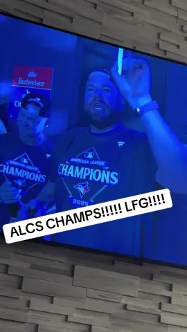 LFG!!!!!! WE ARE GOING TO THE WORLD SERIES BABY!!!!!! 