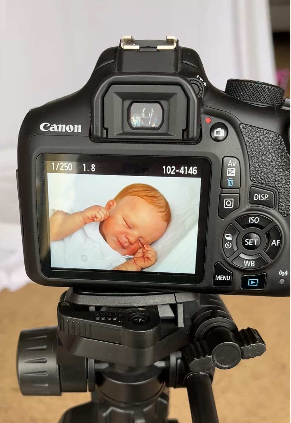 Photoshoot time for the new baby #reborn #rebornartist #rebornbaby #reborns #reborndoll 