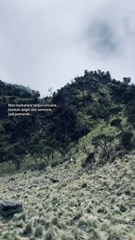 🫀#fyp #xyzbca #4u #foryou #pendaki 