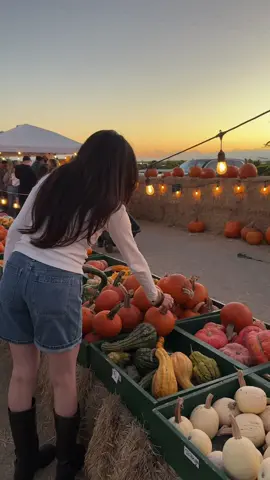 Last couple weeks to visit a pumpkin patch before the spooky season ends 🎃🧡 #halloween #spookyseason #pumpkinseason #pumpkinpatch #mustvisit 