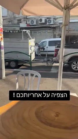 זה לא פילאטיס או יוגה זה סכנה, לא לגעת בזבל הזה 😪😪😪😪 רוצים לרדת עליי אין לי בעיה 🫶 רוצים לקלל 🫶 רוצים לאחל לי דברים 🫶 אני מקבל הכל בתנאי  👉👈  שתשתפו את מי שצריך להציל את הנפשות  האלה 🙏 ולא יעזור כלום אני ימשיך לעלות עוד ועוד ! כי אף אחד מהם לא צריך במבה או ביסלי! הם צריכים חיים ! תראו מה ניהיה מהן זה אסון ענק ⚠️😪
