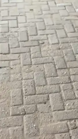 Ini udah engga trondol 😂#fyppppppppppppppppppppppp #jupiterz1jambi #jupiterz1sulawesi😎😙 #sulawesitenggara #xyzbca 