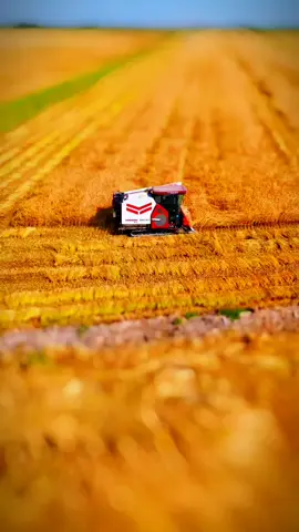 #tiltshift 