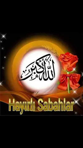 🌹⛓️🌹🌿🌸¨¨˜”°º★🌿🌸﷽ 🌸🌹🤲ﷲAMÎÎÎÎÎN YA RABBEL🌹 ALEMÎNﷲ🤲🌿#🕋🕌🤲🕌🌹❤️🕋🤲🏻🇲🇦🤲🏻 #beniöneçıkart #keşfet 