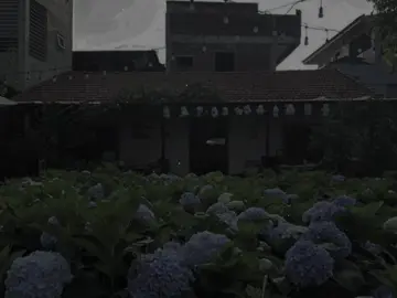 tình buồn không phải lúc nào cũng chỉ để quên đi..