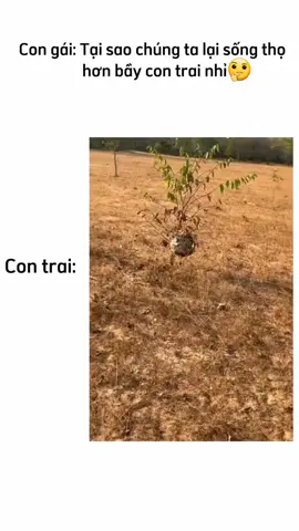 #meme #memevideo #viral #xuhuong #xh Vàoooooooooo🤣