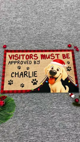 A doormat that says “yes, our dog runs this house” 💥🐶 perfect for the holiday season #ChristmasDecor #CustomDoormat #recuVHANHWxppB