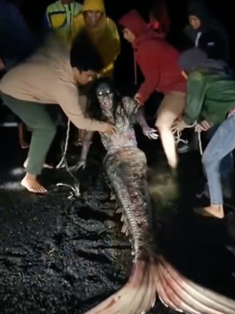 penampakan ikan duyung.. #fyppppppppppppppppppppppp  #viralvideo  #ikan 