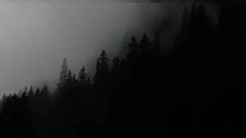 ရှမ်းစကား‌လေးနဲ့နှုတ်ဆက်ကြတယ် ; စိုင်းဆိုင်မောဝ်. . . . . . . #oldbutgoldvibe #lyrics #oldsongs #lyrics_songs #lyricsvideo #fyp #foryou #lyricsmyanmar #myanmaroldsongs #foryoupage #for #ရှမ်းစကားလေးနဲ့နှုတ်ဆက်ကြတယ် #စိုင်းဆိုင်မောဝ် 